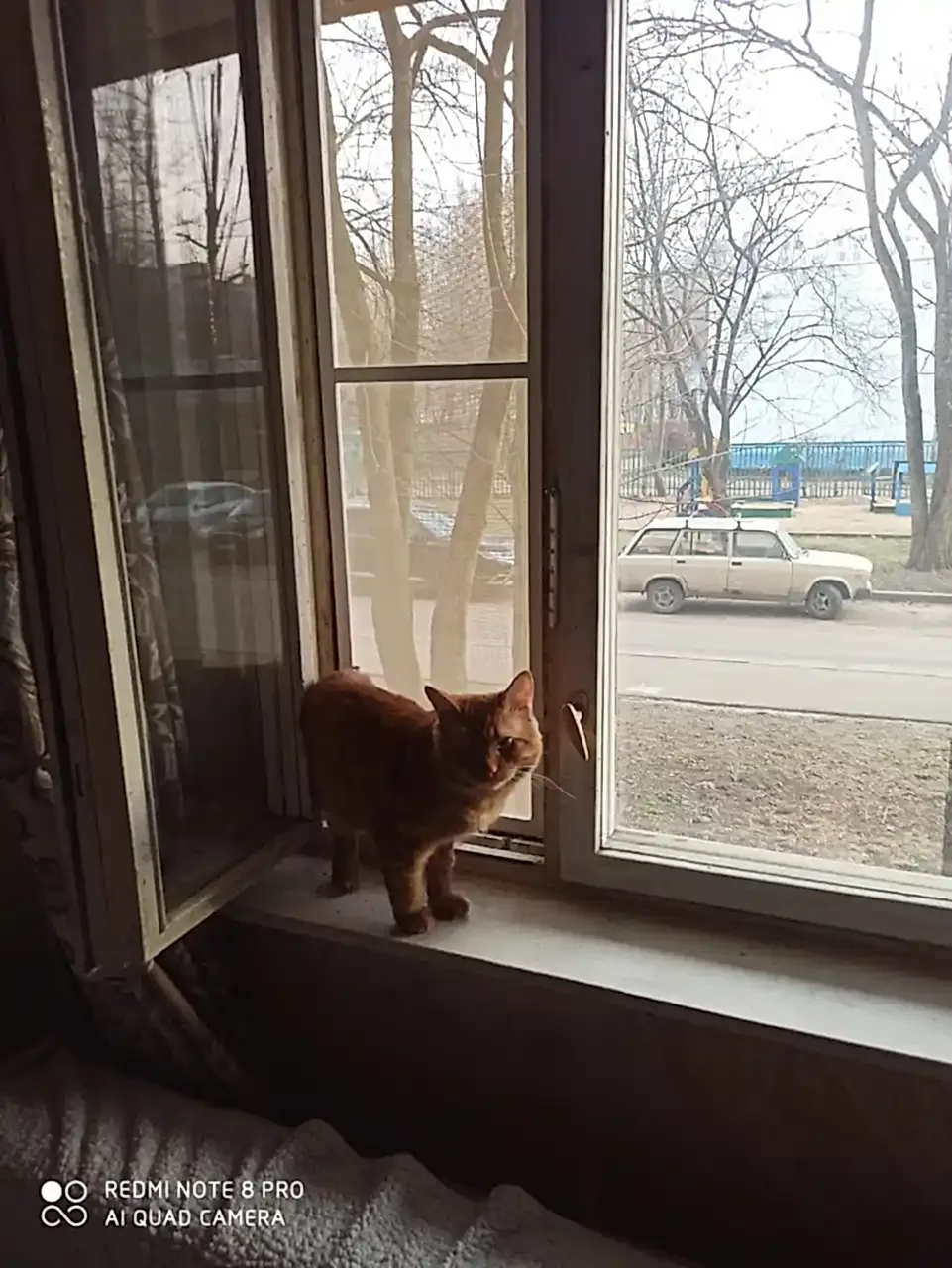 Москитные сетки для деревянных окон